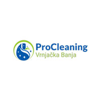 Pro Cleaning