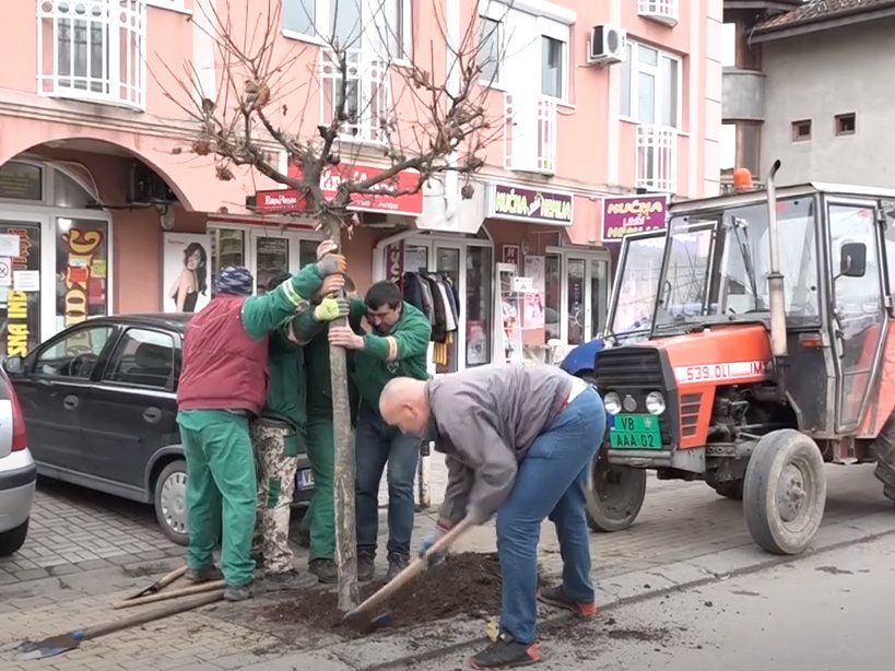 Novi drvored u Kruševačkoj ulici