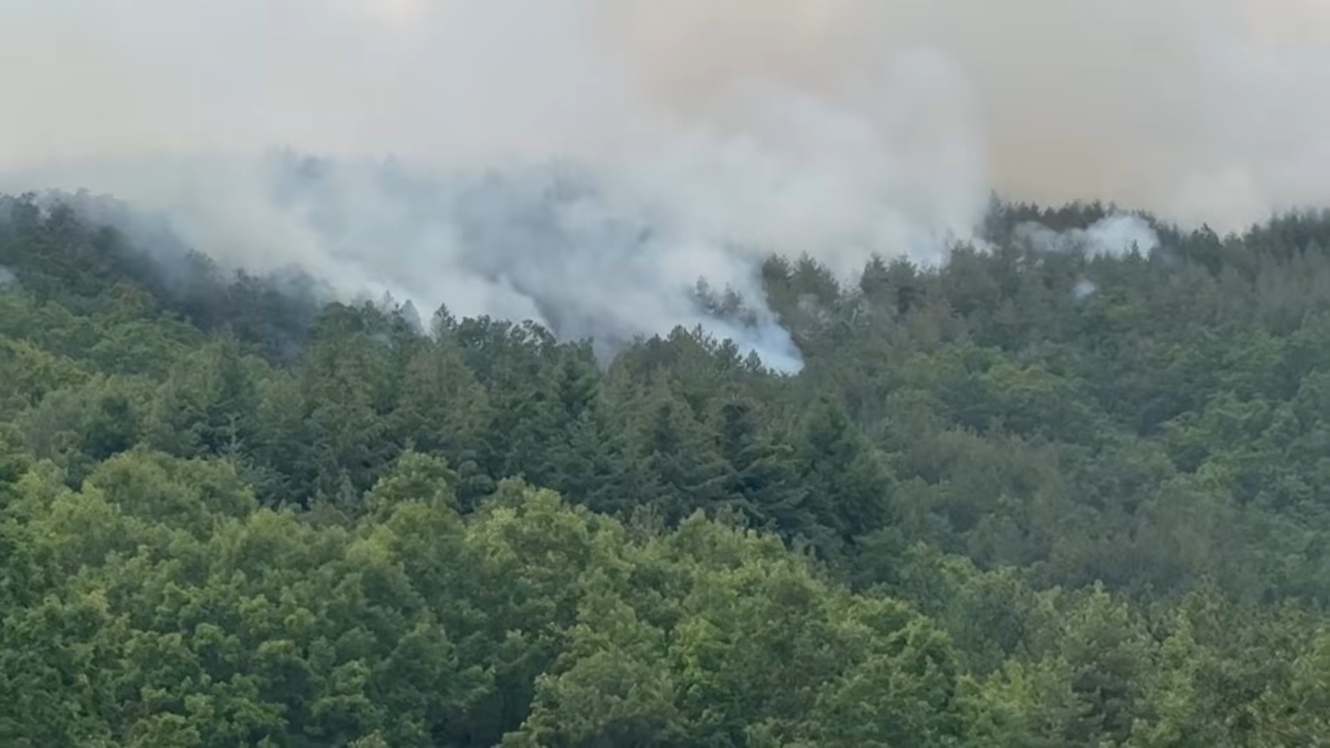 POŽAR NA GOČU I DALJE GORI